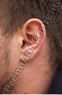 Ear texture of street references 411 0001